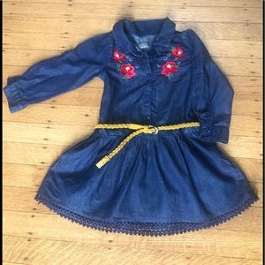 Orchestra Denim Dress, size 23 months